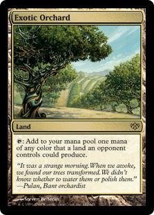 Exotic Orchard - Foil